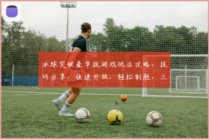 冰球突破豪华版游戏玩法攻略，技巧分享，快速升级，轻松制胜，三步走攻略，必看