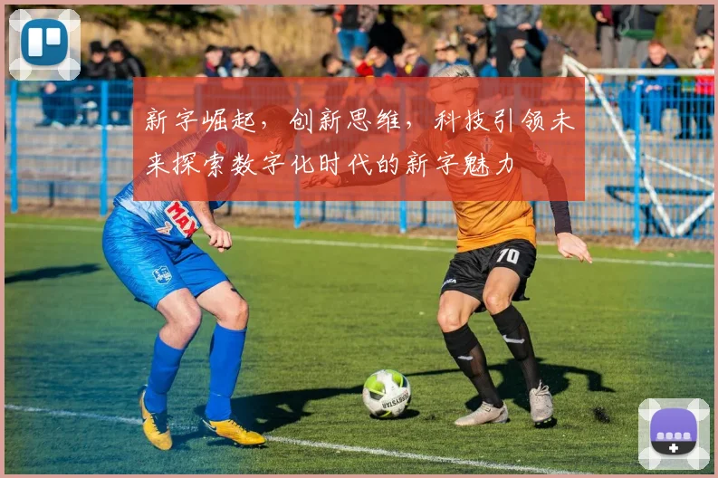新字崛起，创新思维，科技引领未来探索数字化时代的新字魅力