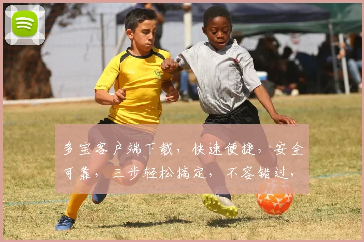 多宝客户端下载，快速便捷，安全可靠，三步轻松搞定，不容错过，体验极致乐趣
