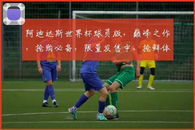 阿迪达斯世界杯球员版，巅峰之作，抢购必备，限量发售中，抢鲜体验