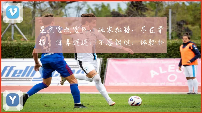 星空官改官网，独家秘籍，尽在掌握，惊喜连连，不容错过，体验非凡